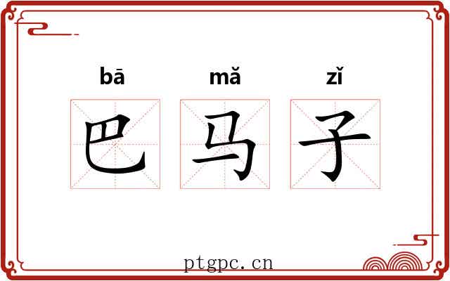 巴马子