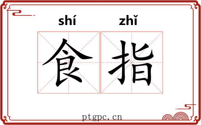 食指