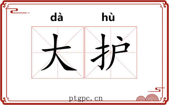 大护 大护