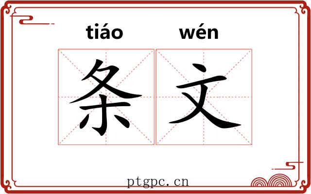 条文 条文