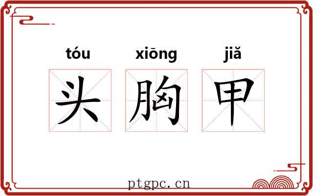 头胸甲