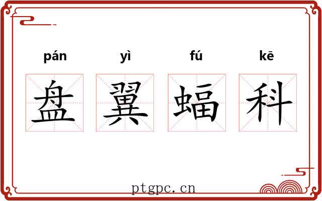 盘翼蝠科 盘翼蝠科
