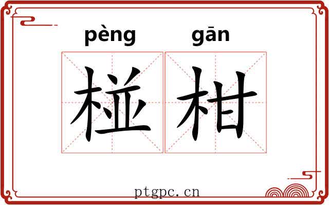 椪柑