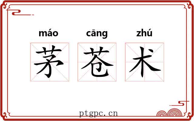 茅苍术