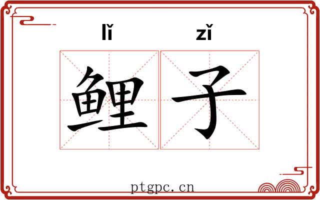 鲤子 鲤子