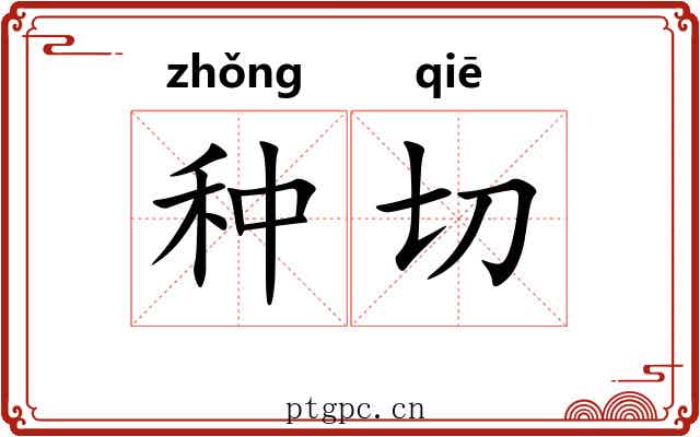 种切 种切