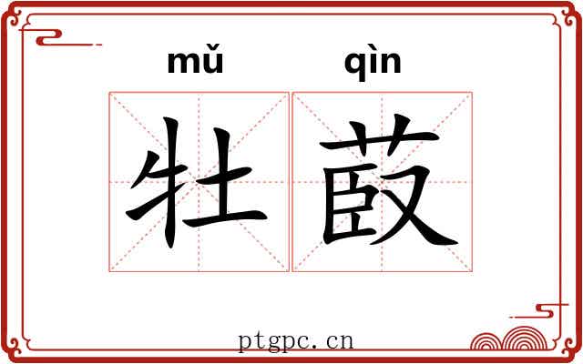 牡菣