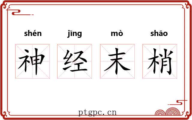 神经末梢 神经末梢