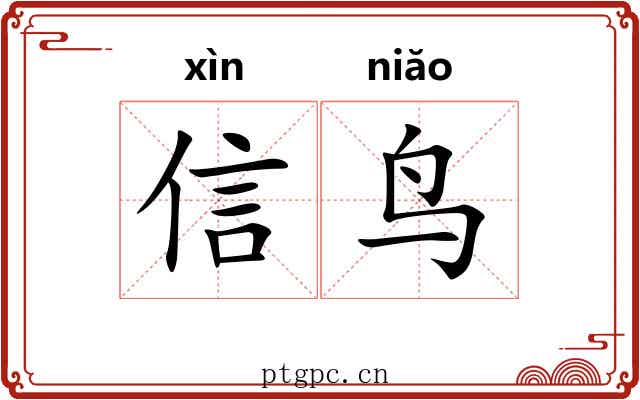 信鸟