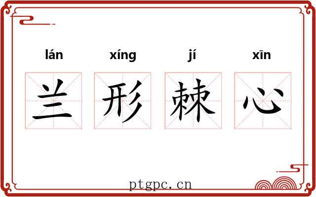 兰形棘心 兰形棘心