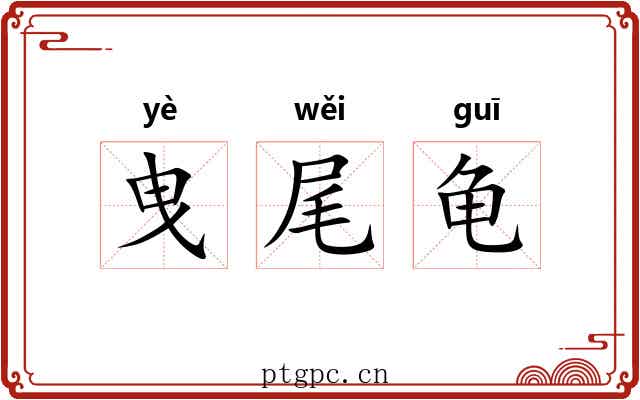 曳尾龟 曳尾龟
