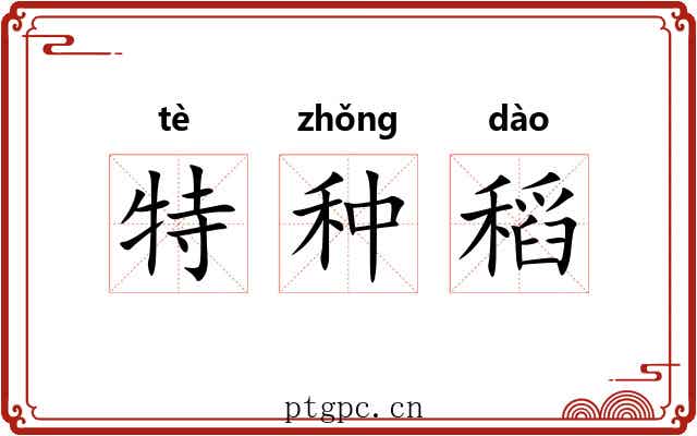 特种稻 特种稻