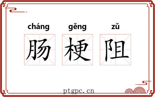 肠梗阻 肠梗阻