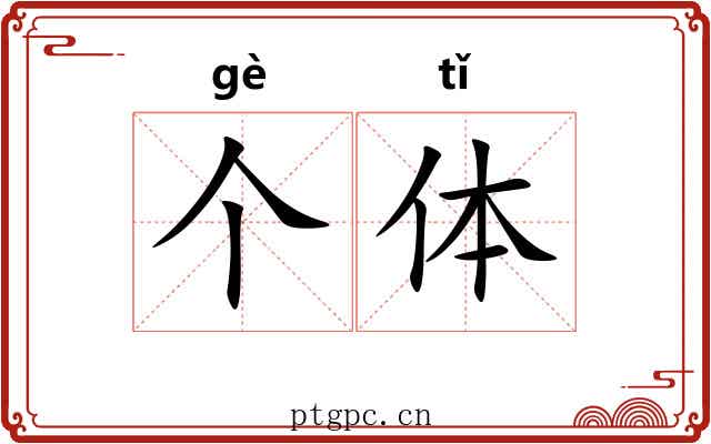 个体 个体