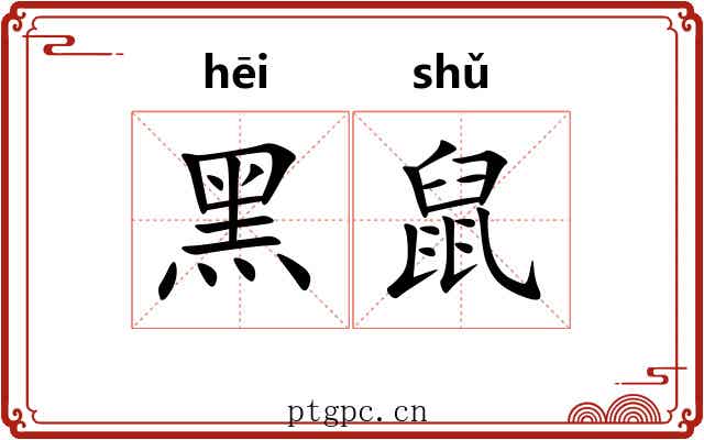 黑鼠