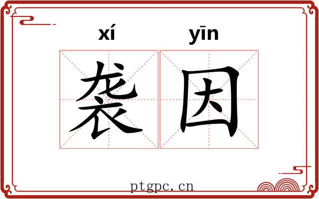 袭因