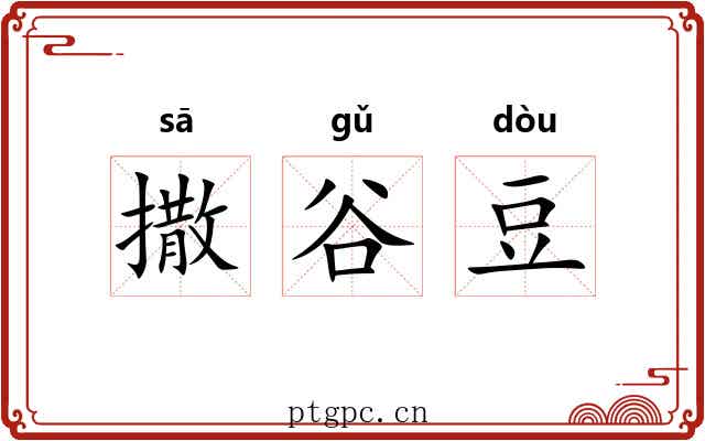 撒谷豆