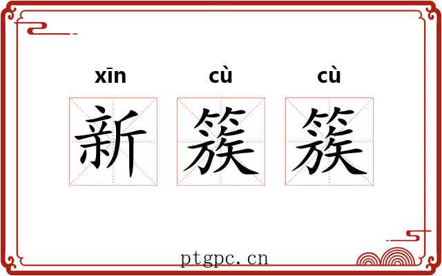 新簇簇 新簇簇