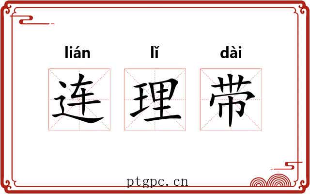 连理带