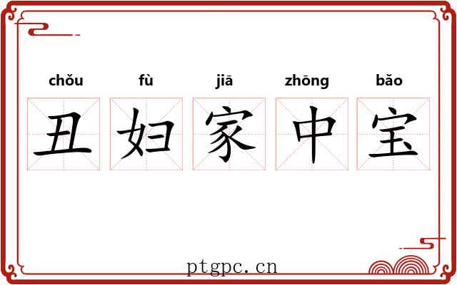 丑妇家中宝 丑妇家中宝