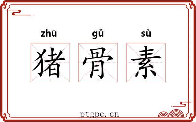 猪骨素 猪骨素