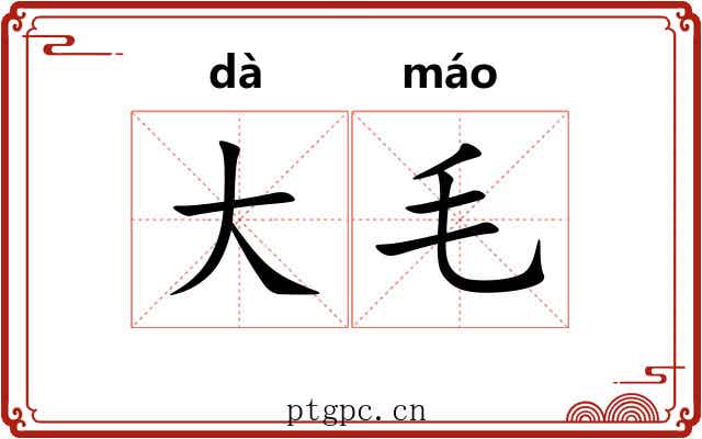 大毛 大毛