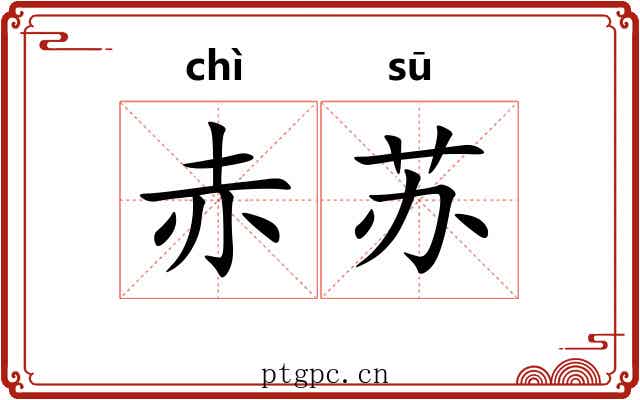 赤苏 赤苏