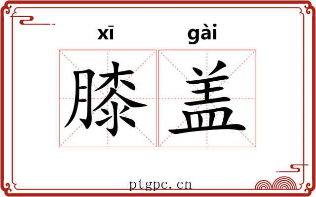 膝盖