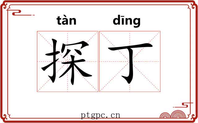 探丁