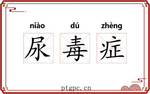 尿毒症 尿毒症