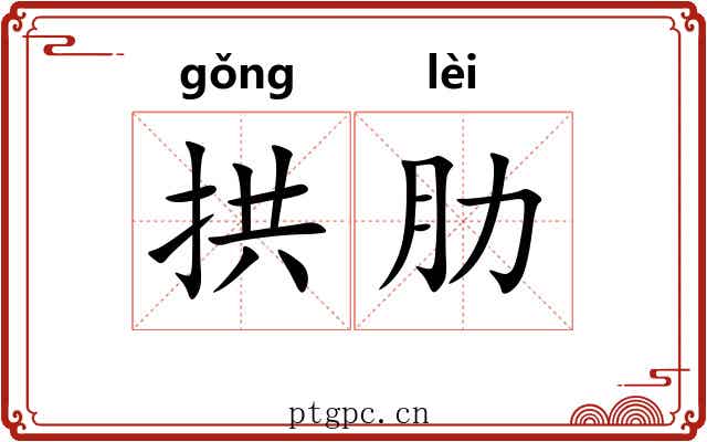 拱肋