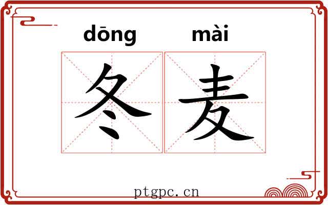 冬麦