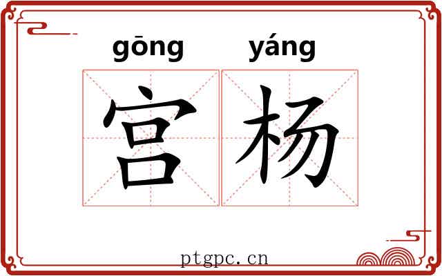 宫杨