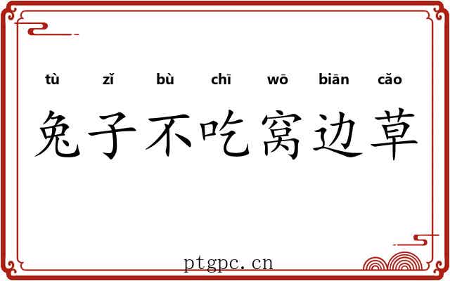 兔子不吃窝边草 兔子不吃窝边草