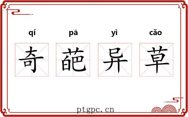 奇葩异草 奇葩异草