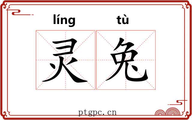 灵兔 灵兔