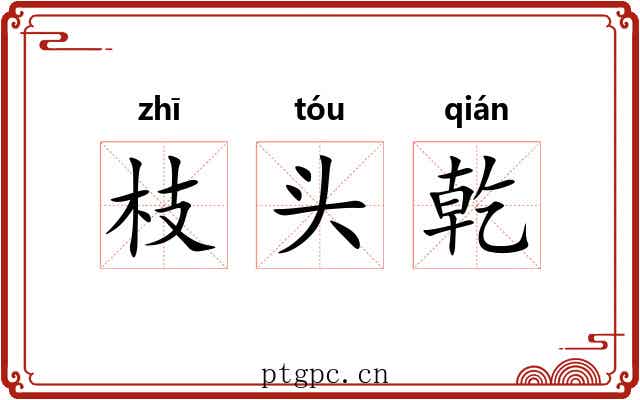 枝头乾