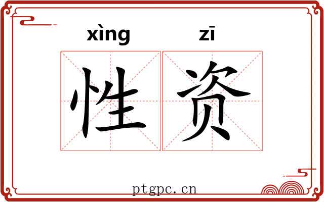 性资 性资