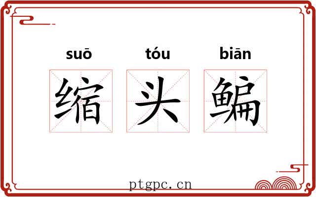 缩头鳊 缩头鳊