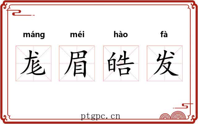 尨眉皓发