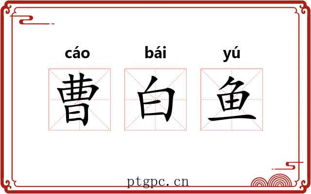 曹白鱼 曹白鱼