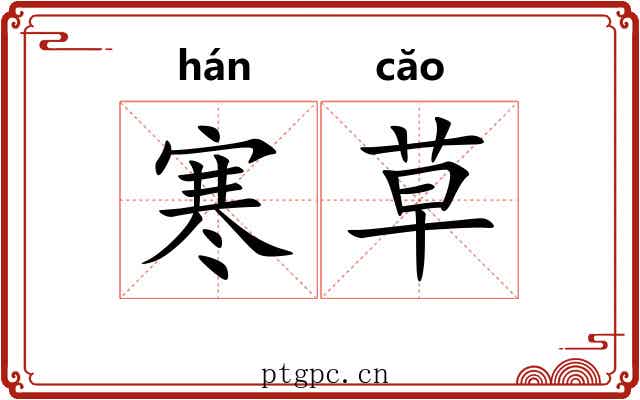 寒草 寒草