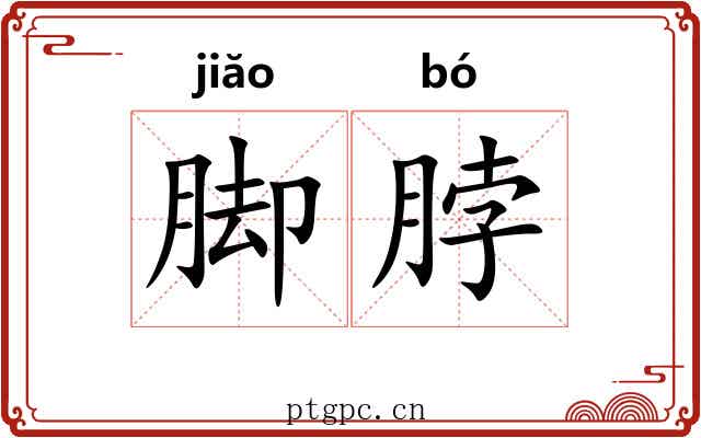 脚脖