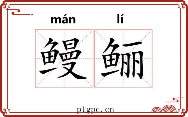 鳗鲡 鳗鲡