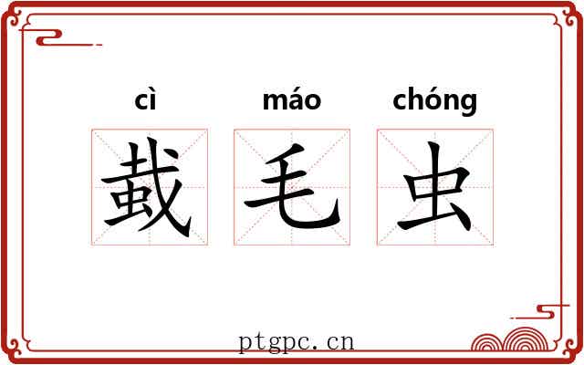 蛓毛虫 蛓毛虫