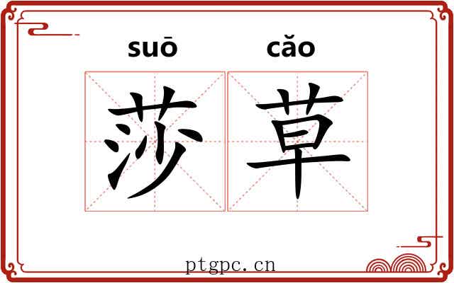 莎草 莎草