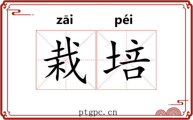 栽培 栽培