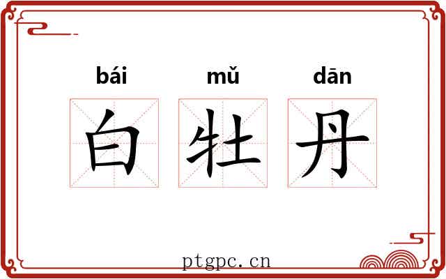 白牡丹 白牡丹