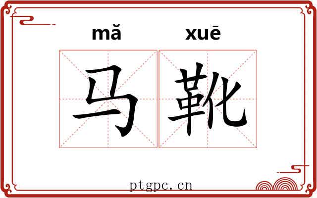 马靴