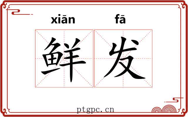 鲜发 鲜发